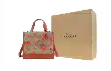 COACH Dempsey 22 Tote