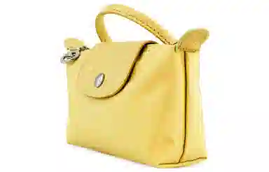 LONGCHAMP Le Pliage Green 17