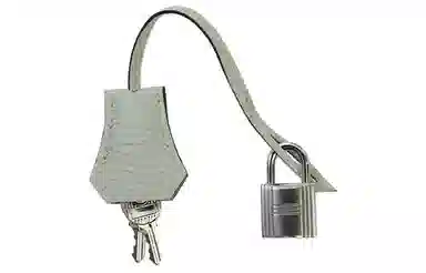 HERMES Birkin 25 Togo 0W Gris Neve