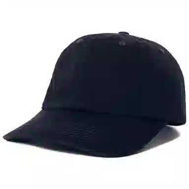 POLAR SKATE CO Cap Logo