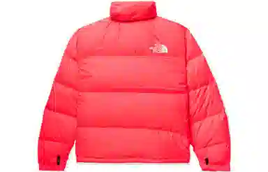 The North Face 1996 Retro Nuptse