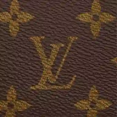 LOUIS VUITTON Zippy