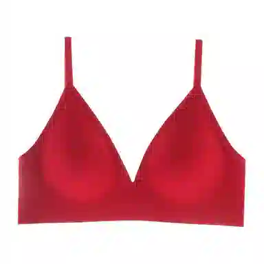 内在密码 平胸专用内衣女小胸聚拢防下垂外扩型胸衣显大舒适无痕螺纹文胸