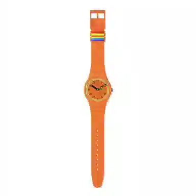 SWATCH 41mm SO29O700