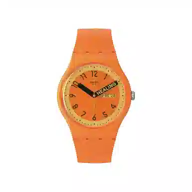 SWATCH 41mm SO29O700