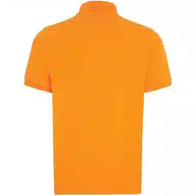 Tommy Hilfiger 1985 polo