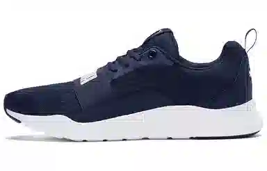 Puma Wired