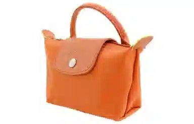 LONGCHAMP Le Pliage Green 17