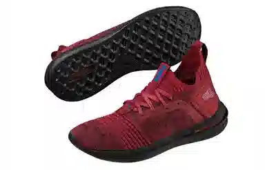 PUMA Ignite Limitless Sr Evoknit