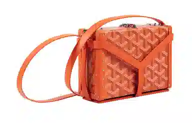 Goyard Minaudiere
