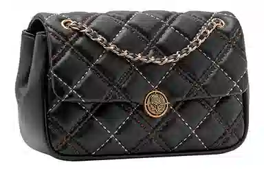 Vanessa Hogan Chain Bag
