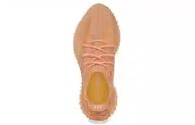 adidas Yeezy Boost 350 V2 "Mono Clay"