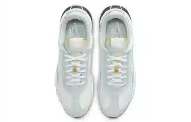 Nike Air Max Pre-Day summit white