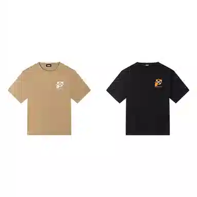 PJ's Vigor T 2