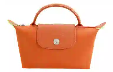 LONGCHAMP Le Pliage Green 17