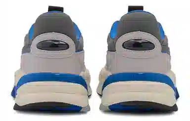 PUMA RS-2K Internet Exploring