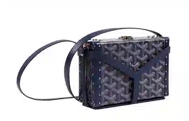 Goyard Minaudiere