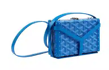 Goyard Minaudiere