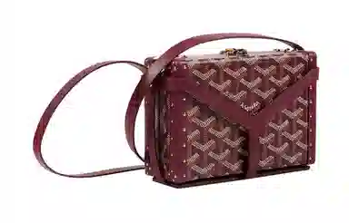Goyard Minaudiere