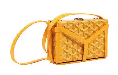 Goyard Minaudiere