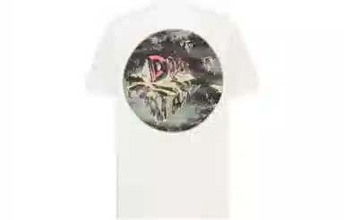 DIOR T