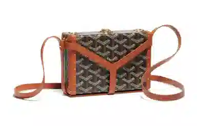 Goyard Minaudiere
