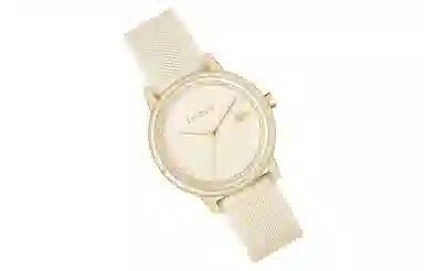 LACOSTEGO 36mm 30 2001288