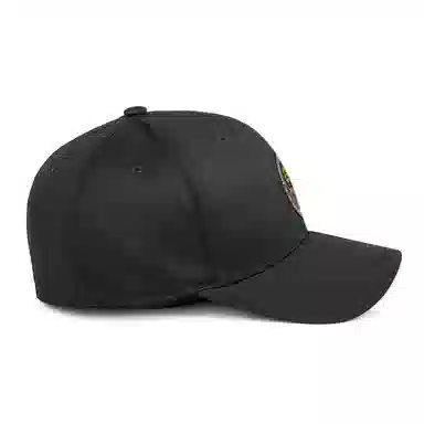 Flexfit Baseball Cap