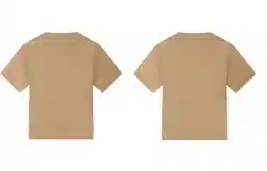 PJ's Vigor LogoT 2