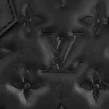 LOUIS VUITTON SpeedyBandoulire 22