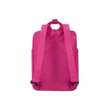 Dickies Mini Backpack