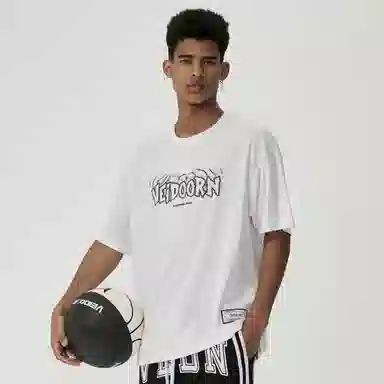 VEIDOORN T