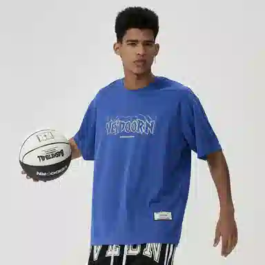 VEIDOORN T