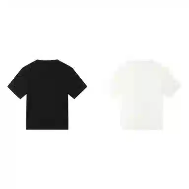 PJ's Vigor T 2