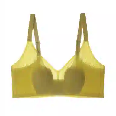 内在密码 纯色无痕无钢圈收副乳文胸 女款