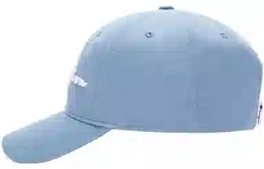 Champion Baseball Cap