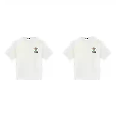 PJ's Vigor T 2