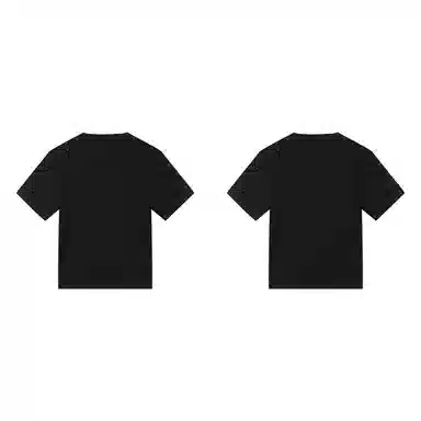 PJ's Vigor T 2