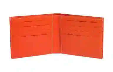 GOYARD Victoire 11