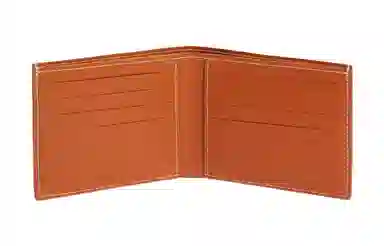 GOYARD Victoire 11