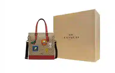 COACH x Peanuts Graham 36