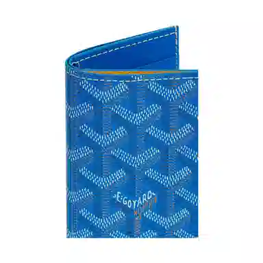 GOYARD Saint-Pierre