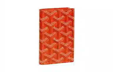 GOYARD Saint-Pierre