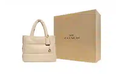 COACH Pillow 37 Ivory