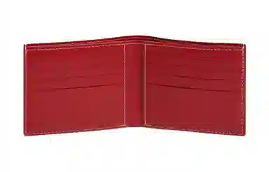 GOYARD Victoire 11