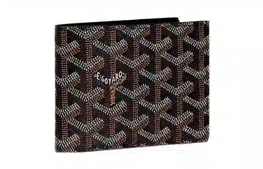 GOYARD Victoire 11