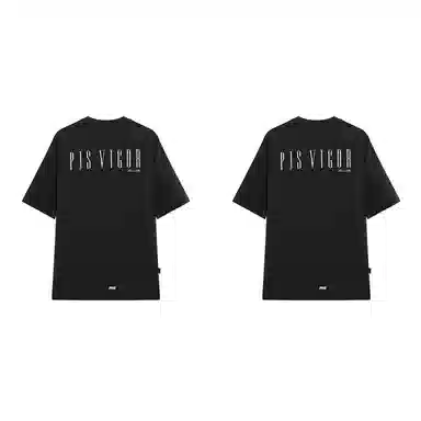 PJ's Vigor T 2
