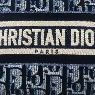 DIOR Oblique Velvet Clutch