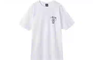Stussy SS23 World Tour T