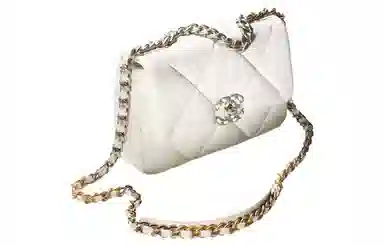 CHANEL 19Bag